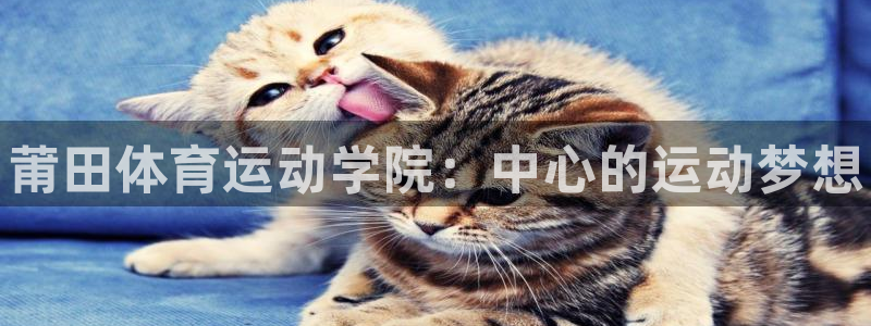 米兰体育官网下载招商电话地址是多少：莆田体育运动学院