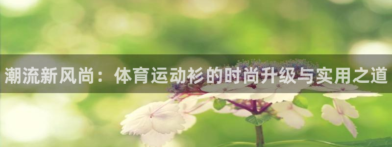 米兰体育官网下载招商电话地址：潮流新风尚：体育运动衫