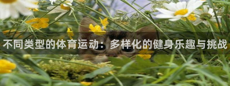 米兰体育官网下载开户：不同类型的体育运动：多样化的健