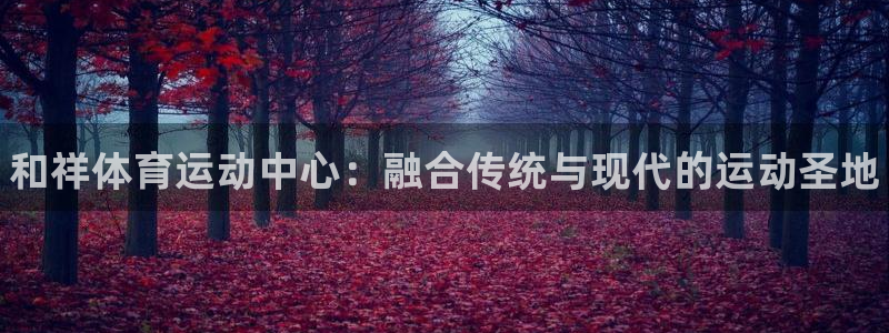 米兰体育官网下载平台注册流程图：和祥体育运动中心：融