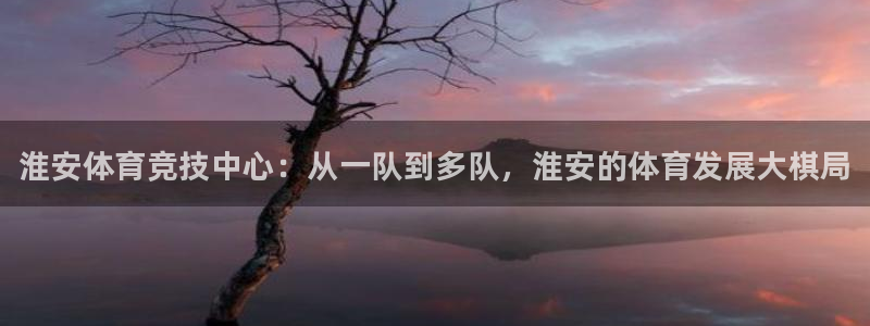 米兰体育官网下载是干嘛的公司：淮安体育竞技中心：从一