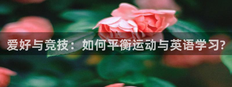 米兰体育官方正版app娱乐网站：爱好与竞技：如何平衡