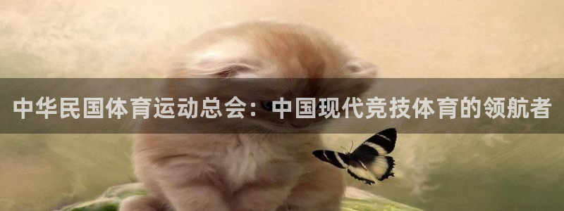 米兰体育官网下载娱乐：中华民国体育运动总会：中国现代