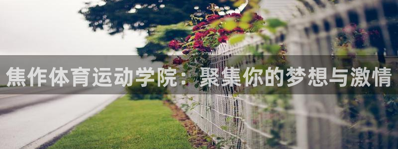 米兰体育官网下载娱乐：焦作体育运动学院：聚集你的梦想