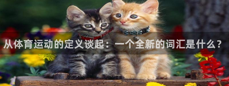 米兰体育官方正版app开户：从体育运动的定义谈起：一
