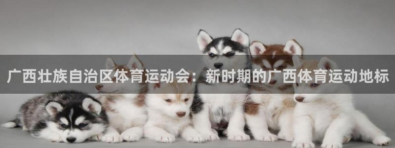 米兰体育官方正版app娱乐：广西壮族自治区体育运动会：新时期