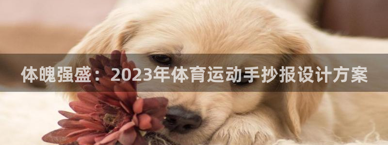米兰体育官方正版app娱乐40996：体魄强盛：2023年体