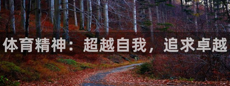 米兰体育官网下载招商电话地址查询：体育精神：超越自我，追求卓