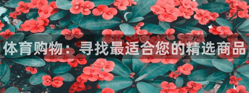 米兰体育官方正版app新能源：体育购物：寻找最适合您的精选商