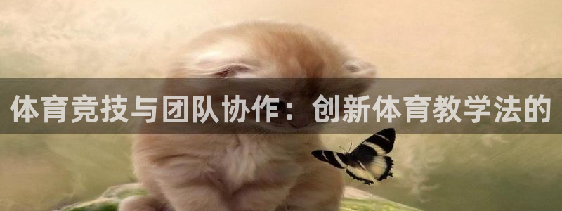 米兰体育官方正版app集团简介：体育竞技与团队协作：