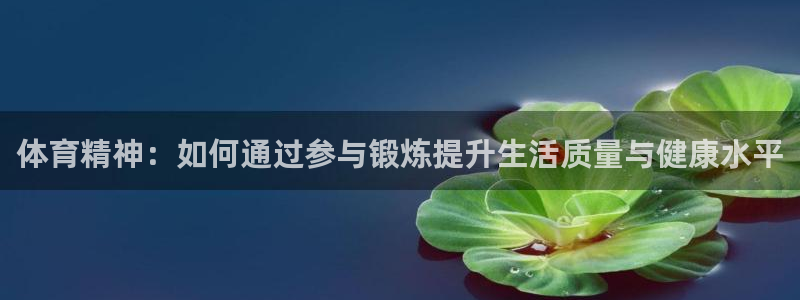 米兰体育官方正版app集团E.ON：体育精神：如何通过参与锻