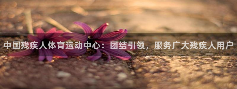 米兰体育官方正版app娱乐：中国残疾人体育运动中心：团结引领