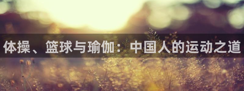 米兰体育官网下载平台是正规平台吗：体操、篮球与瑜伽：中国人的
