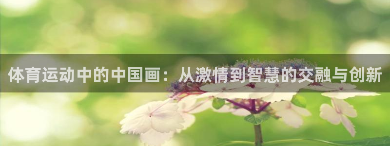 米兰体育官方正版app娱乐首页网站大全:体育运动中的中国画: