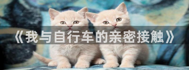 米兰体育官方正版app神州